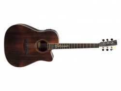 GILMOUR ANTIQUE EW48 EQ - kytara s širším krkem