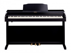 ROLAND RP501R-CB | Digitální piana