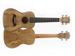 AIERSI SU084 - koncertní ukulele | Koncertní ukulele