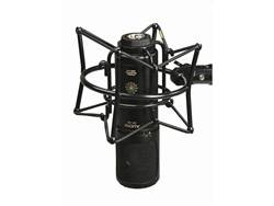 Audix CX212B studiový kondenzátorový mikrofon | Nástrojové kondenzátorové mikrofony