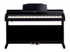 ROLAND RP501R-CB | Digitální piana - 01