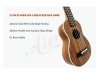 AIERSI SU071P - sopránové ukulele | Sopránová ukulele - 03