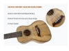 AIERSI SU084 - koncertní ukulele | Koncertní ukulele - 02