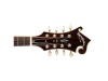 Sigma Guitars MA-6 | Mandolíny - 02