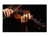 Pirastro Flexocor Permanent 316020 - houslové struny | Příslušenství smyčcových nástrojů - 02